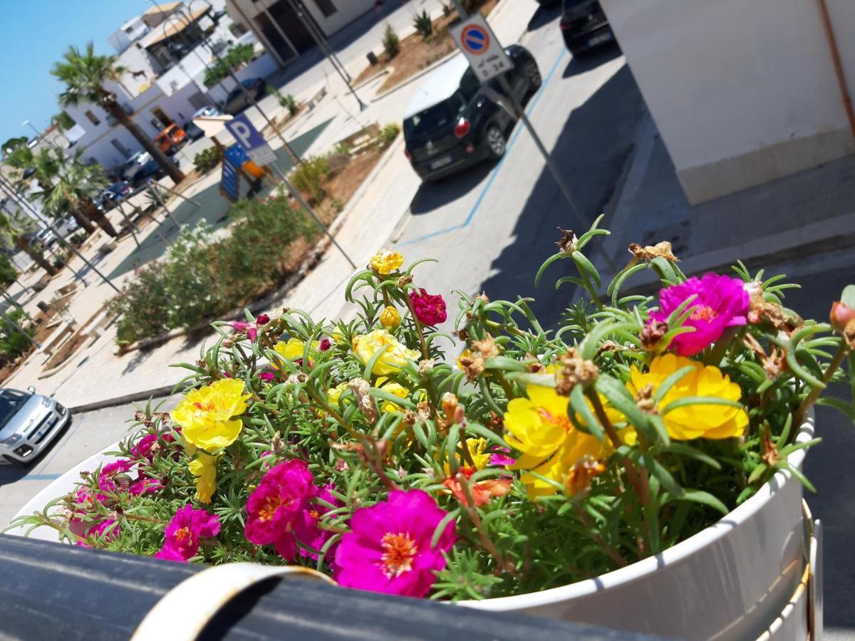 Finestra Azzurra Daire San Vito Lo Capo Dış mekan fotoğraf
