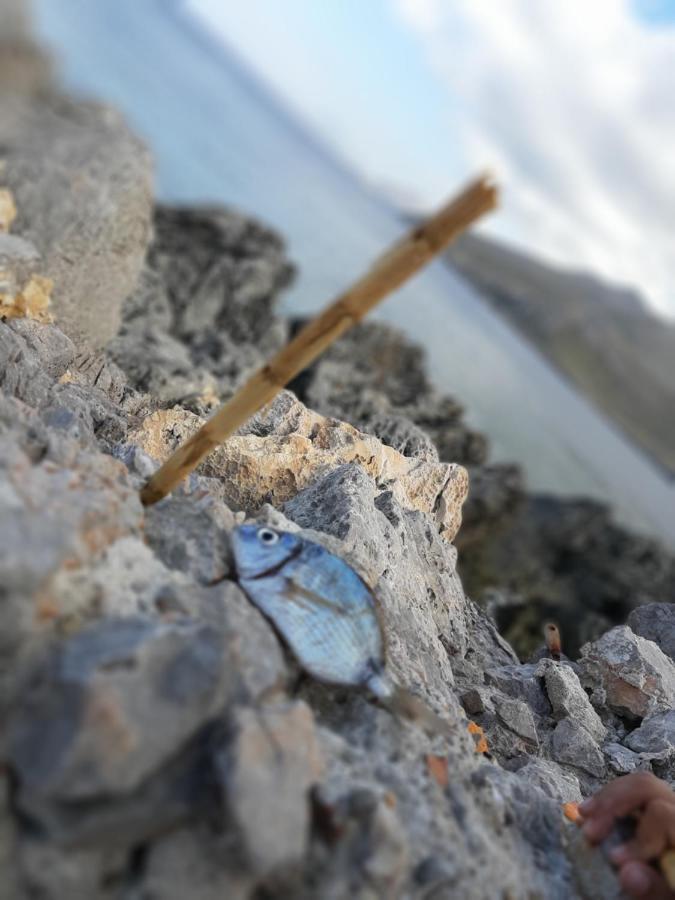 Finestra Azzurra Daire San Vito Lo Capo Dış mekan fotoğraf