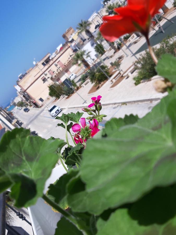 Finestra Azzurra Daire San Vito Lo Capo Dış mekan fotoğraf