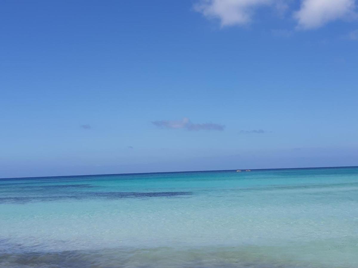 Finestra Azzurra Daire San Vito Lo Capo Dış mekan fotoğraf